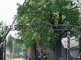 Auchwitz Sign 5